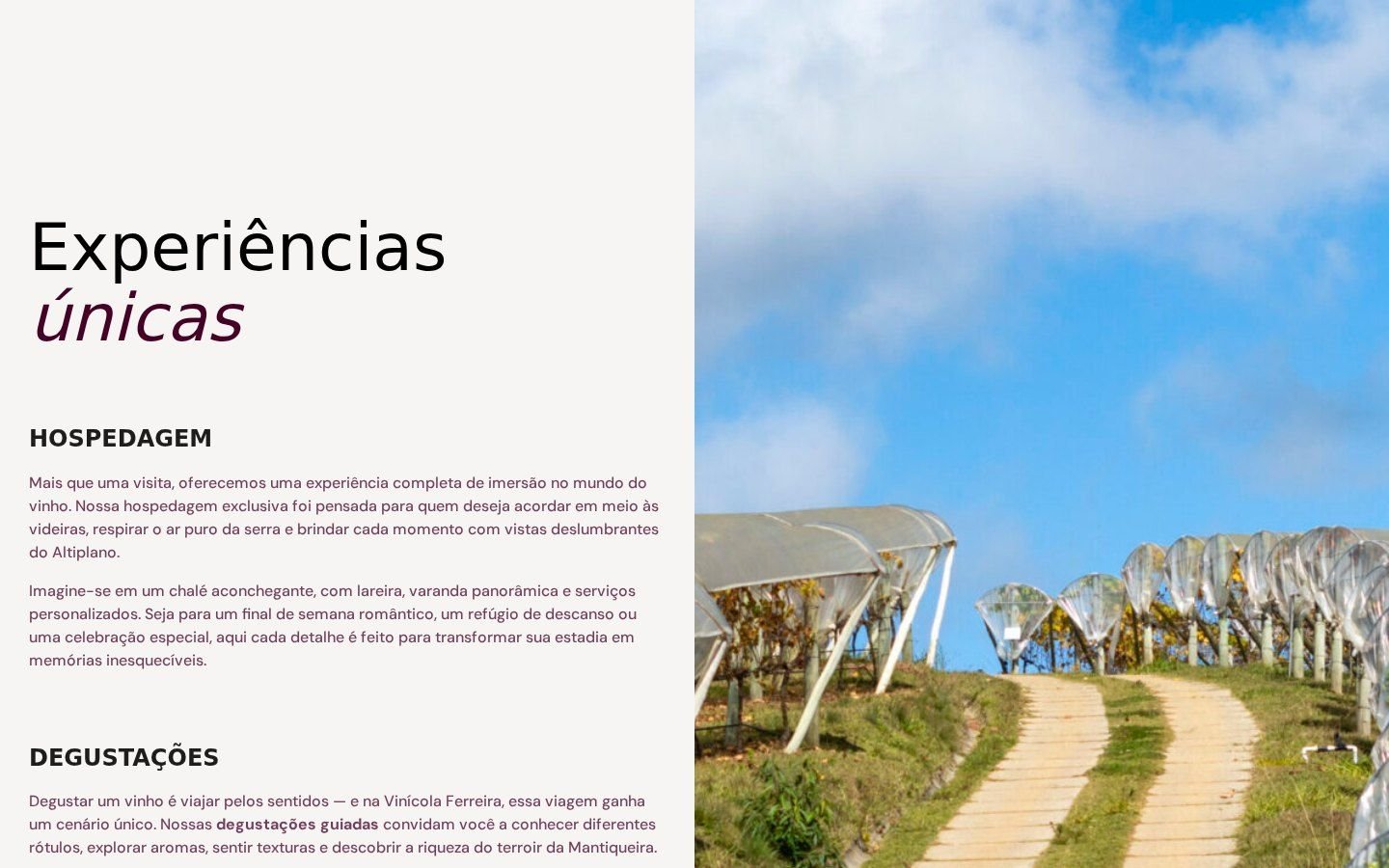 Experiências no site da Vinícola Ferreira
