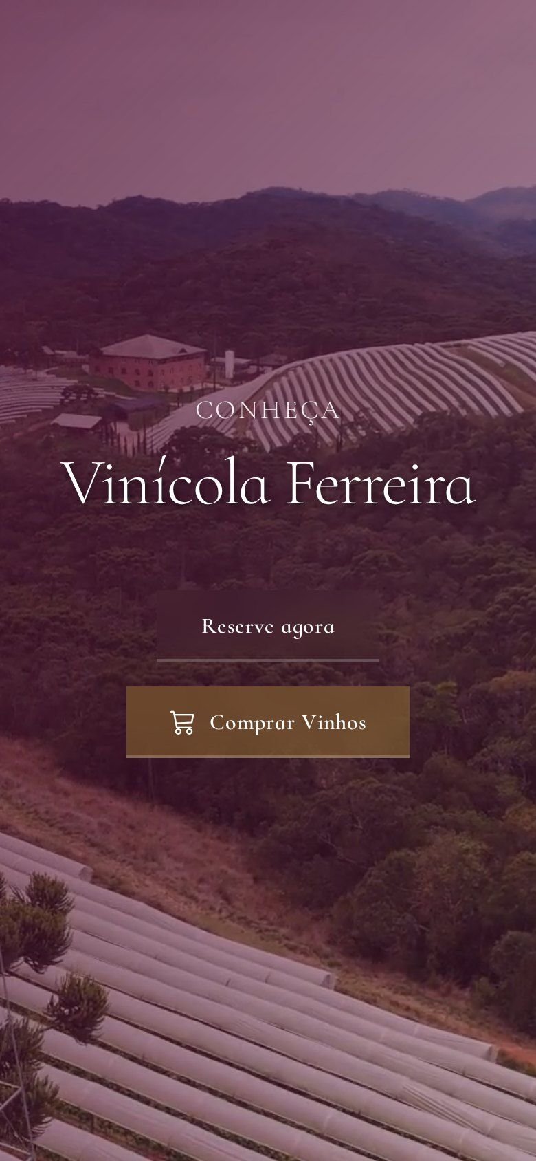 Página da Vinícola Ferreira no celular
